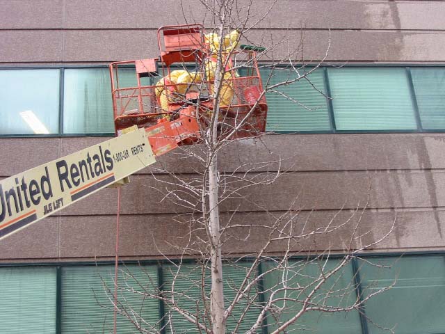 ground-zero-cleanup