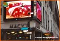 midtown-herald-square