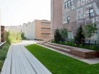 23rd Street Lawn and Seating Steps
