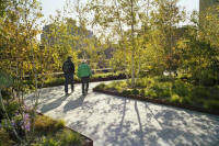 Gansevoort Woodland