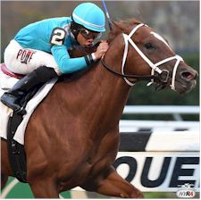 Picture of Aqueduct Racetrack