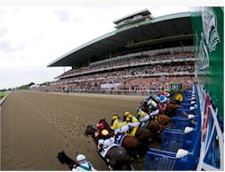 Picture of Belmont Park