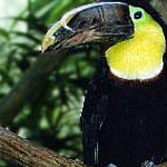 Picture of Central Park Zoo