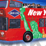 Picture of Gray Line Bus Tours - Times Square