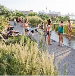 Picture of The High Line