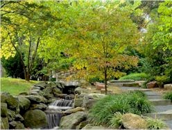 Picture of Woodlawn Cemetery