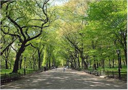 Free NYC Central Park Tours